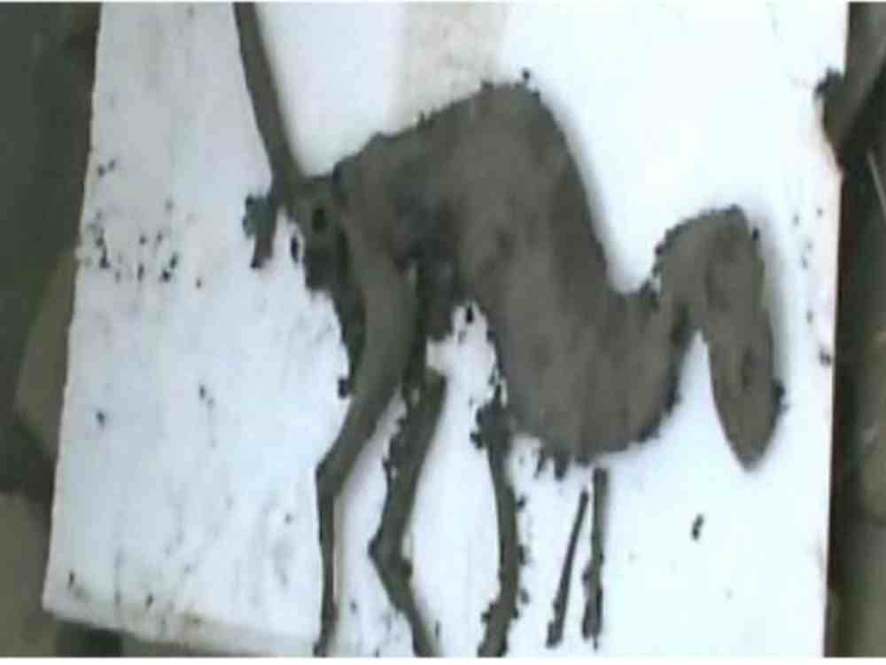 know how life bounced back after the great dying mass extinction event