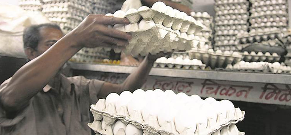 plastic egg identification easy way 