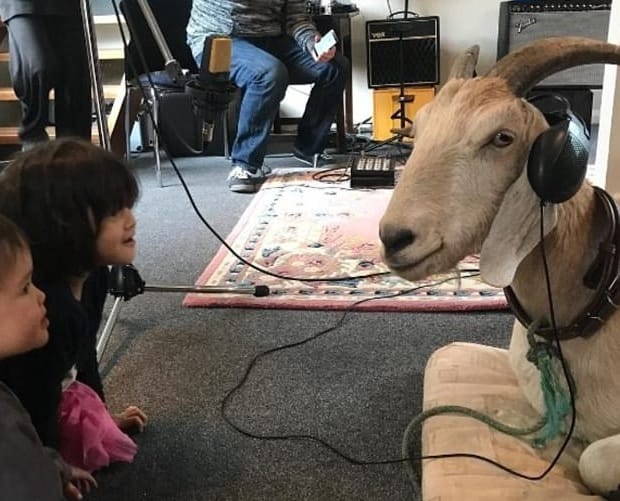 Social media king Gary the Goat dies
