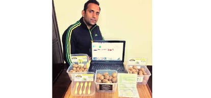Himachal Solan Mandeep verma selling kiwi fruit online