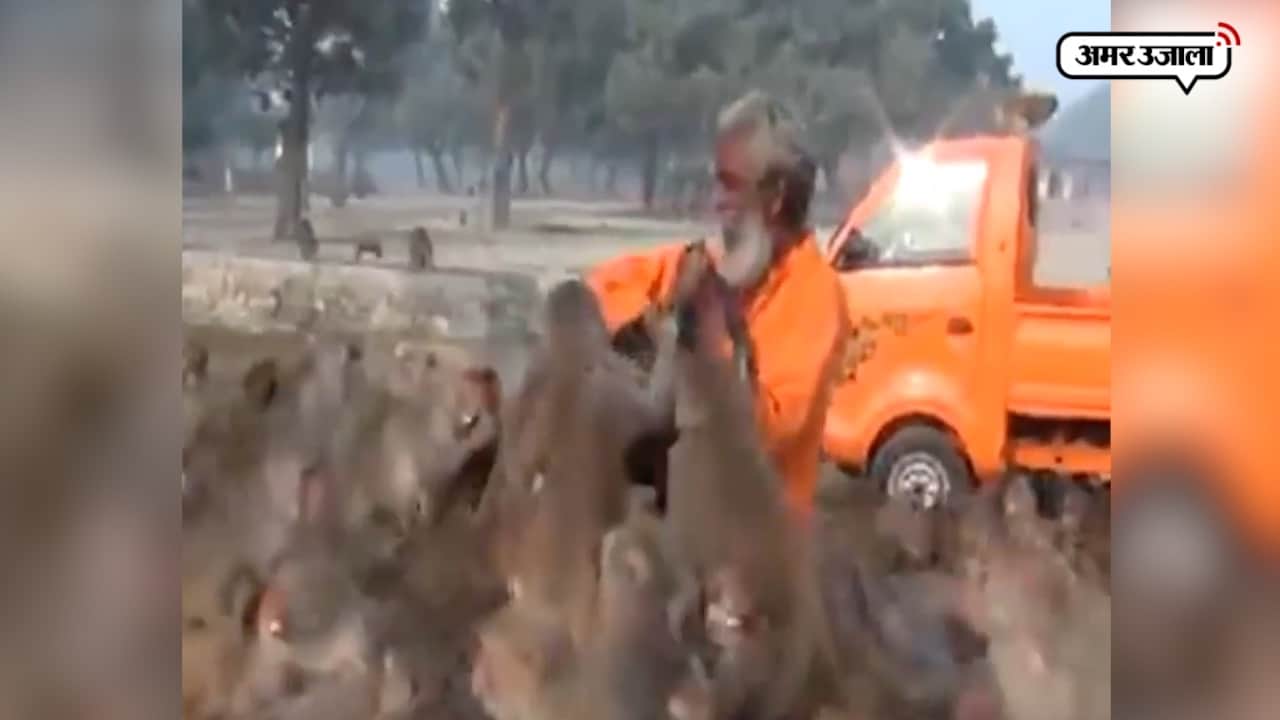 मंकी बाबा