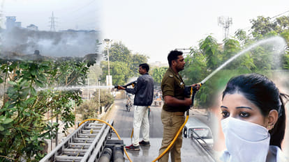 dust on Leaves is the reason of swelling, cough, fever 