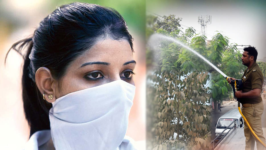 dust on Leaves is the reason of swelling, cough, fever 