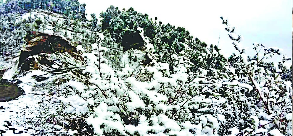 शिकारी में हिमपात जारी, गाड़ागुशैणी में पर हल्की बर्फबारी