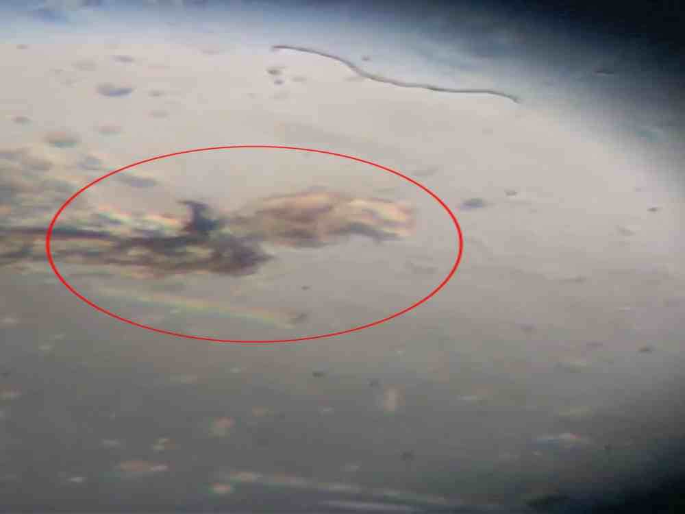 unique creature found in suswa river which purify Sewage water