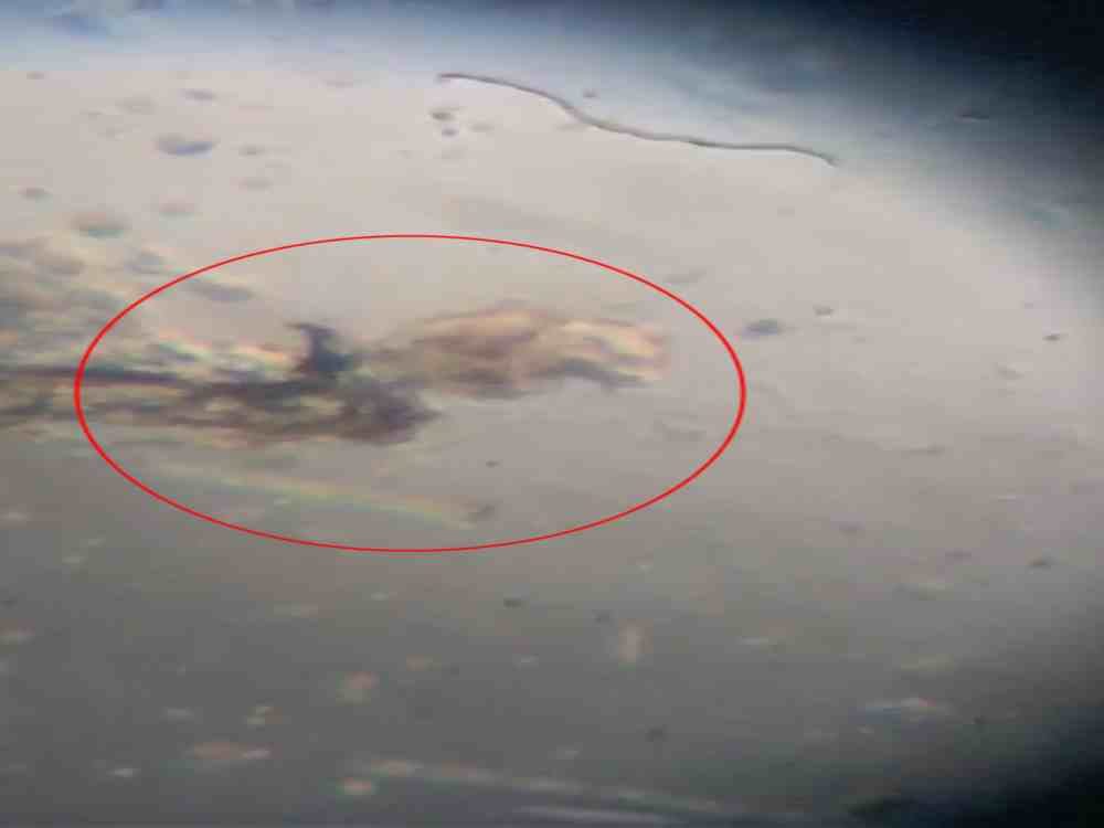 unique creature found in suswa river which purify Sewage water