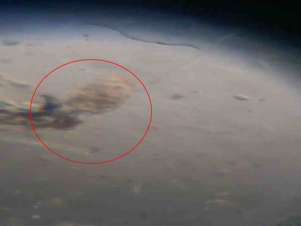 unique creature found in suswa river which purify Sewage water