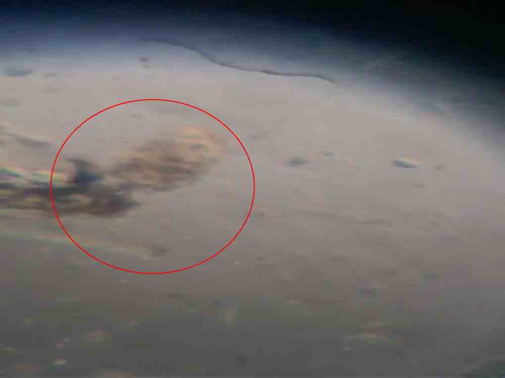 unique creature found in suswa river which purify Sewage water
