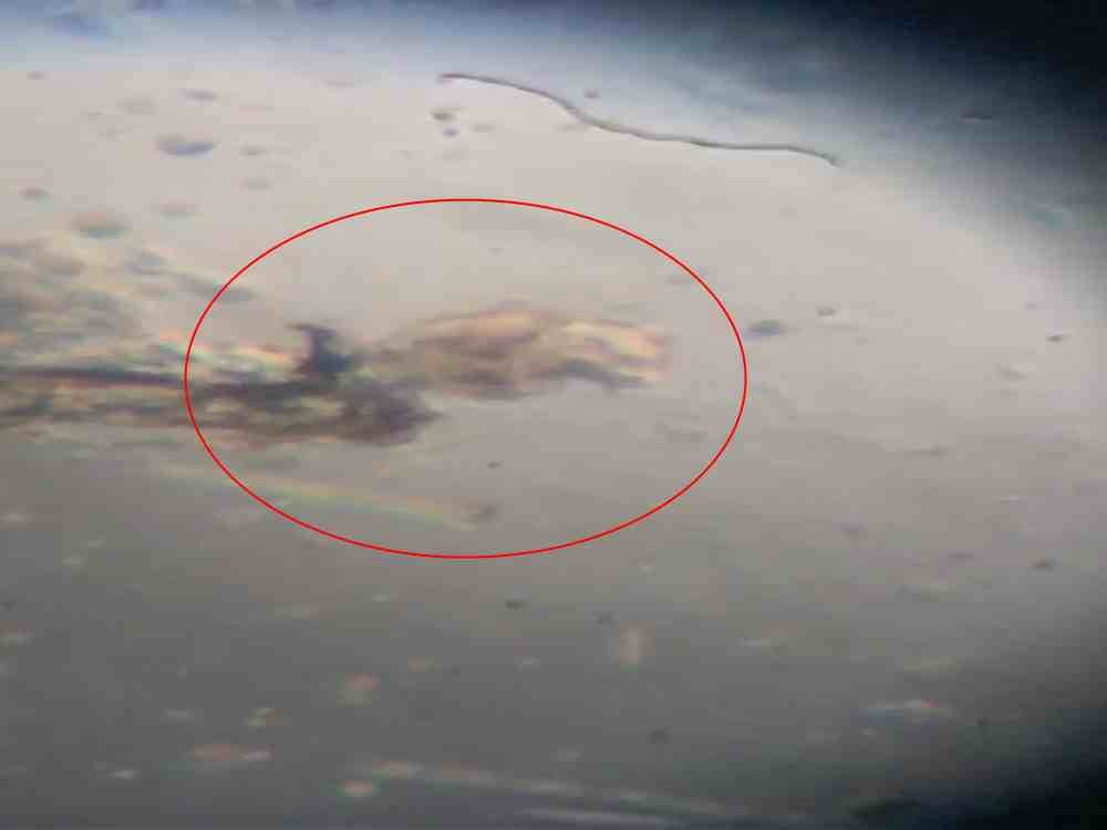 unique creature found in suswa river which purify Sewage water