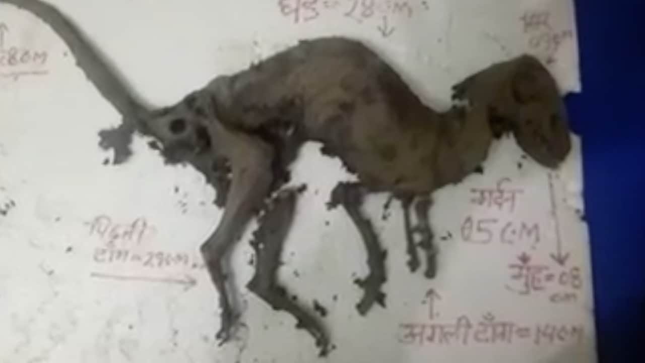 उत्तराखंड