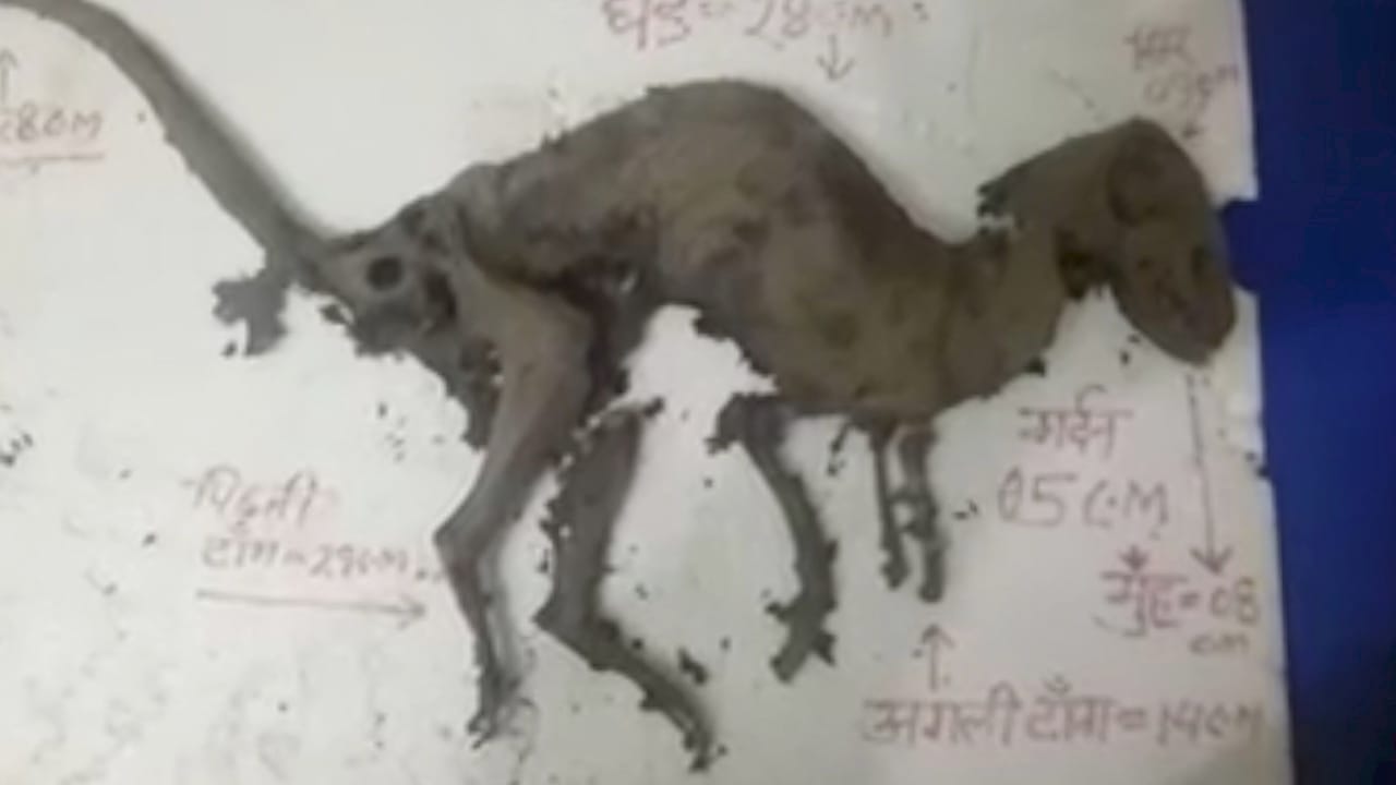 उत्तराखंड