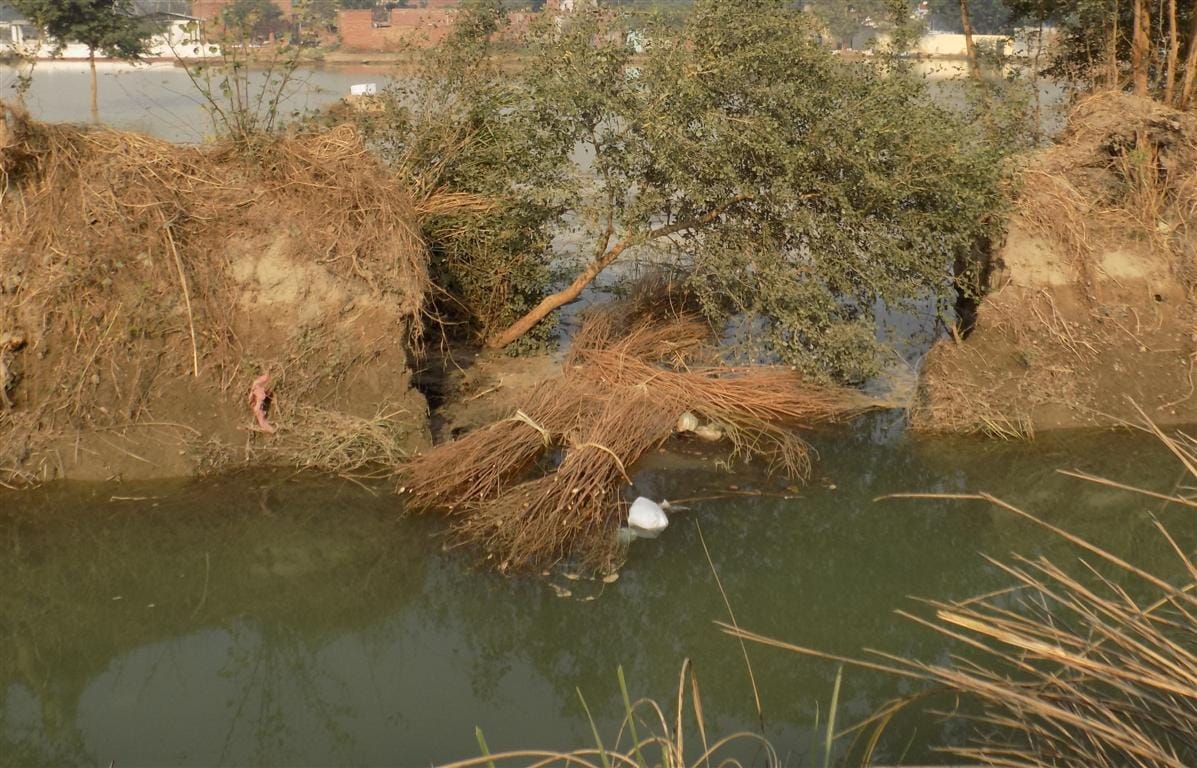 Canal stripped, 50 bigha crop submerged