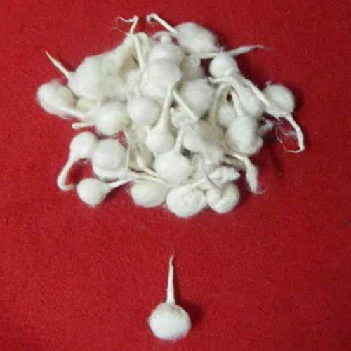 these alum and cotton tips to get rid of evil eyes