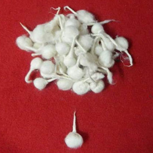these alum and cotton tips to get rid of evil eyes