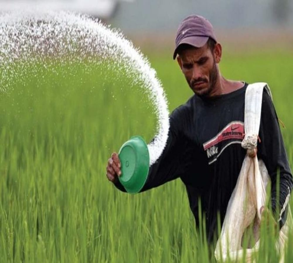 vacancies in National Fertilizers for Engineer and Manager