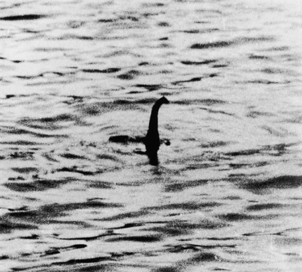 Strange creature loch ness monster spotted 