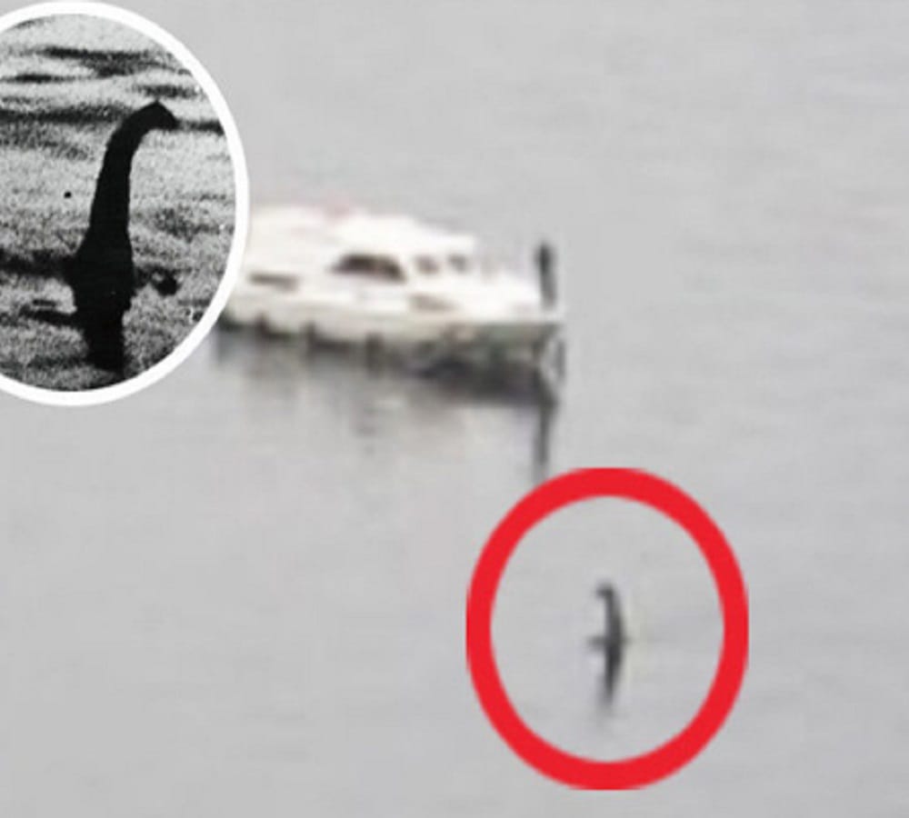 Strange creature loch ness monster spotted 