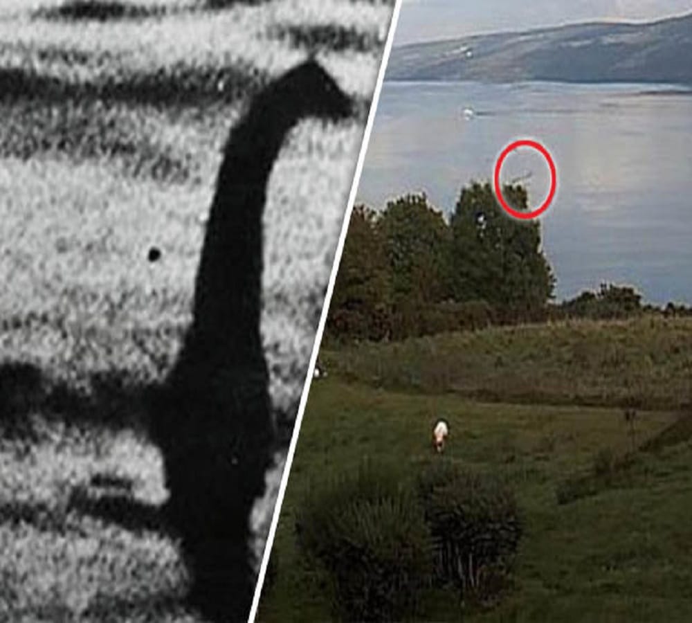 Strange creature loch ness monster spotted 