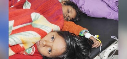 nine children fall ill after eating this fruit