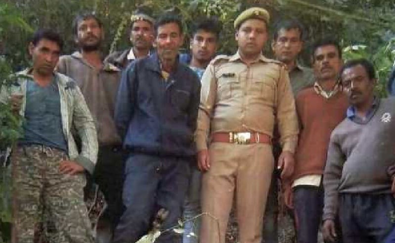 Leopard bursts on goats and kids escaped to save lives