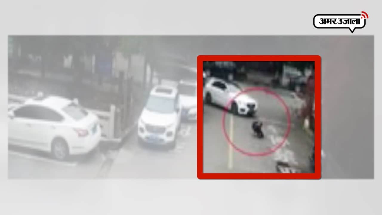 वायरल वीडियो