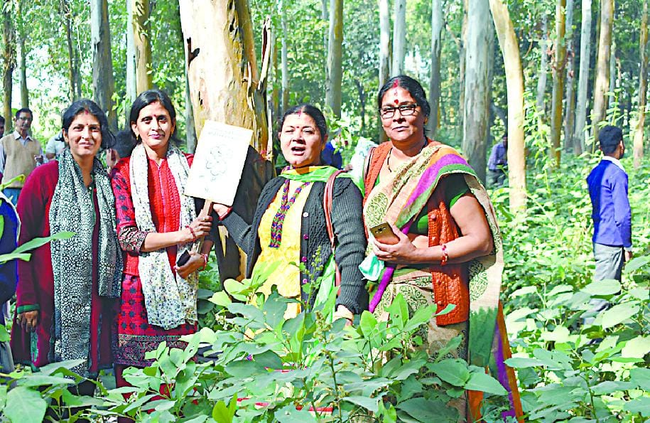 Resolved to protect trees by tying rakhi