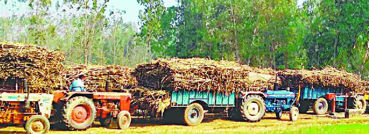तीन दिन से ठप है गन्ना तौल, किसान परेशान