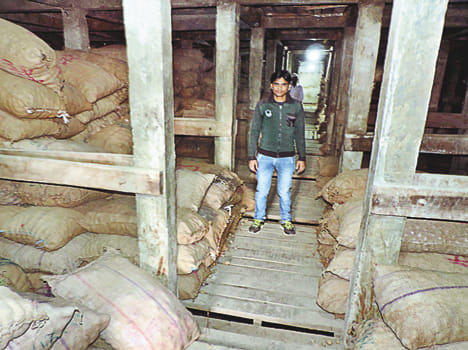 How to spend 1.46 lakh metric ton potato in eight days