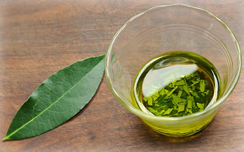 Know how this bay leaves home remedy can cure your headache and joint pain problems