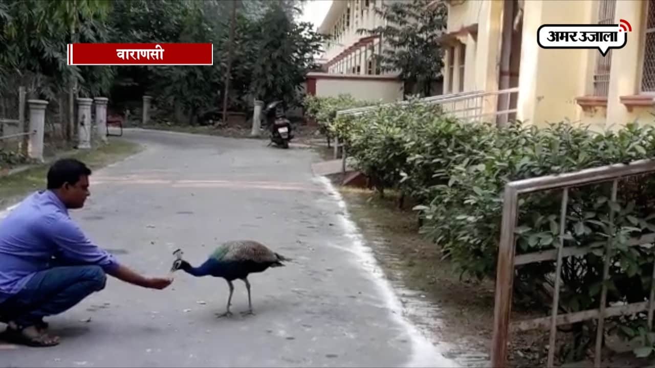 वाराणसी 