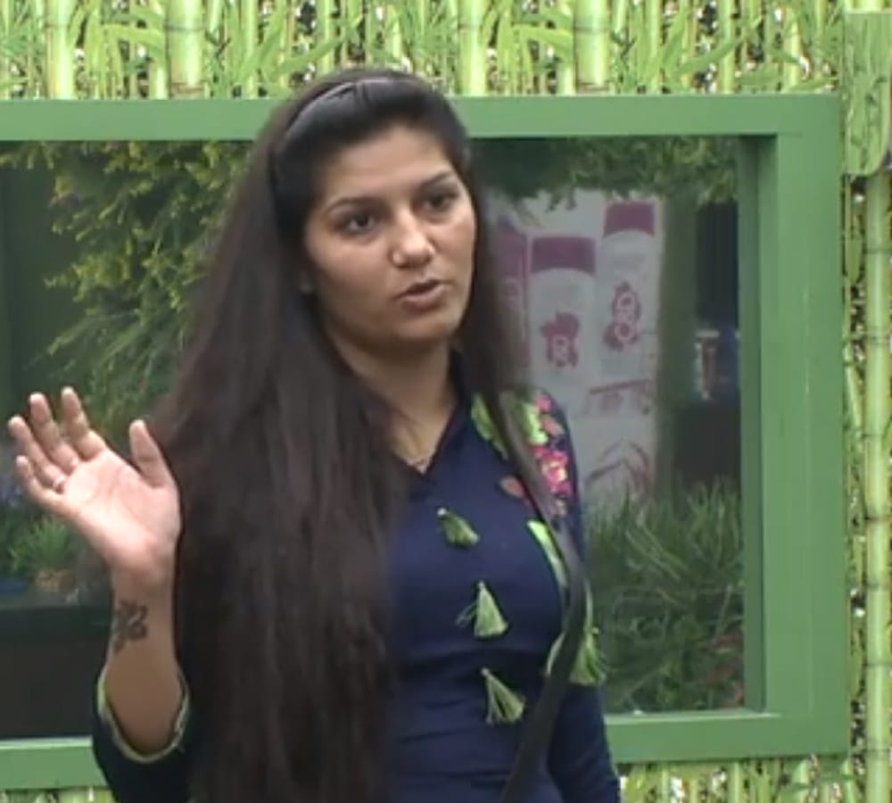 sapna chaudhary calls puneesh is dog after hearing hina in bigg boss
