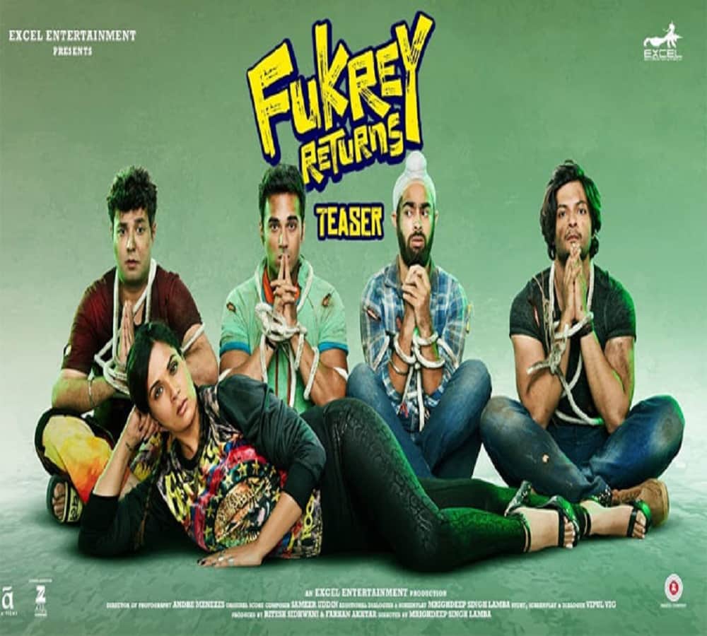 Film Fukrey Stars Planning To Open Restaurant