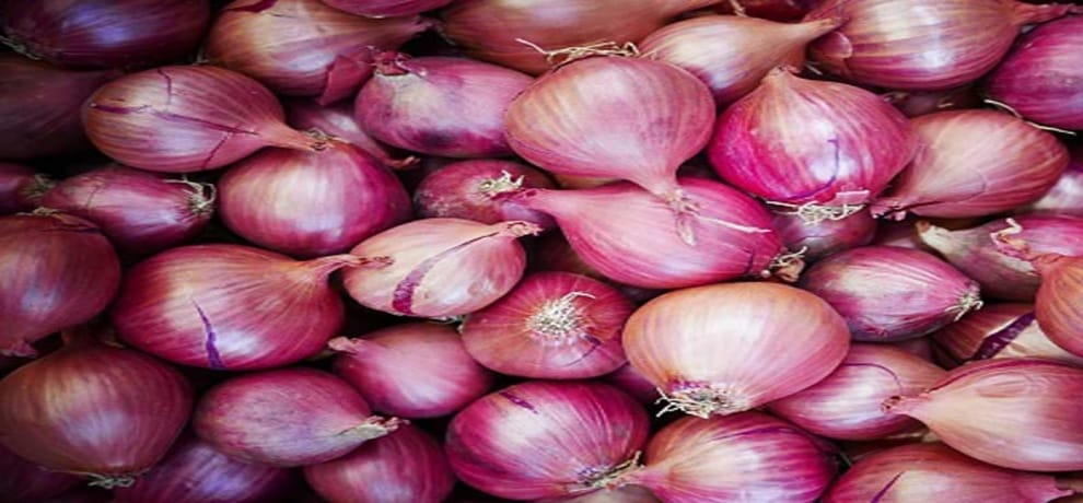 onion prices to cool off by February, touches 3300 per quintal mark