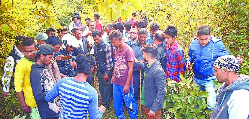 forest department working process questioned