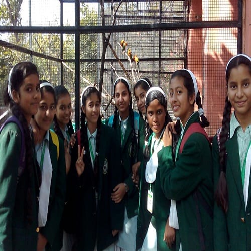 students of The Doon Global school celebrated picnic on Childrens Day