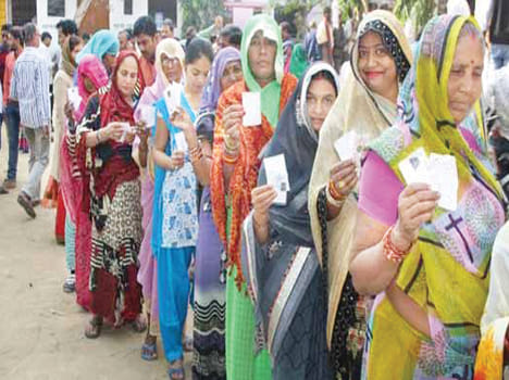 The fate of 335 candidates decided in the ballot box