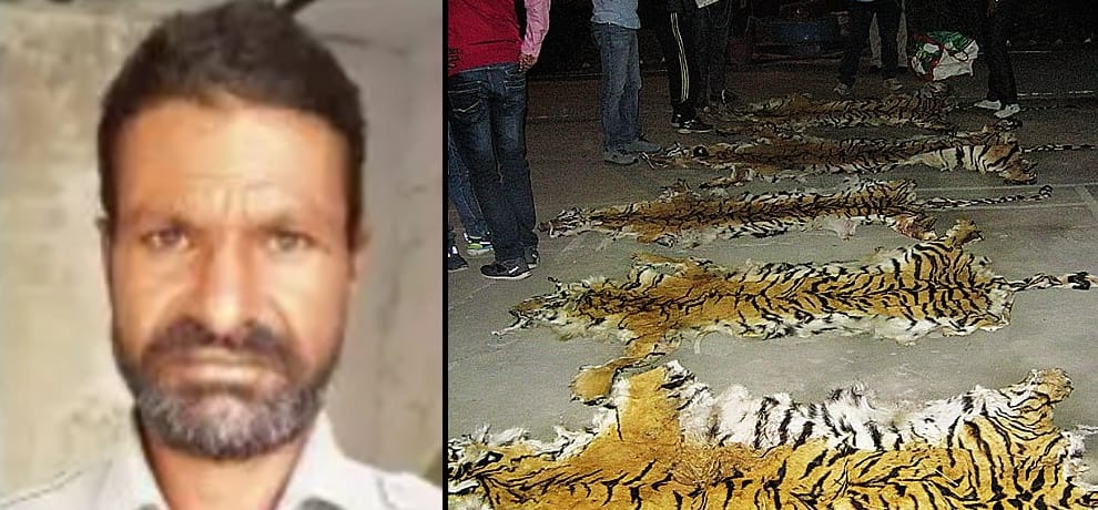 hunter bhima bawariya caught and sentenced to jail for three years
