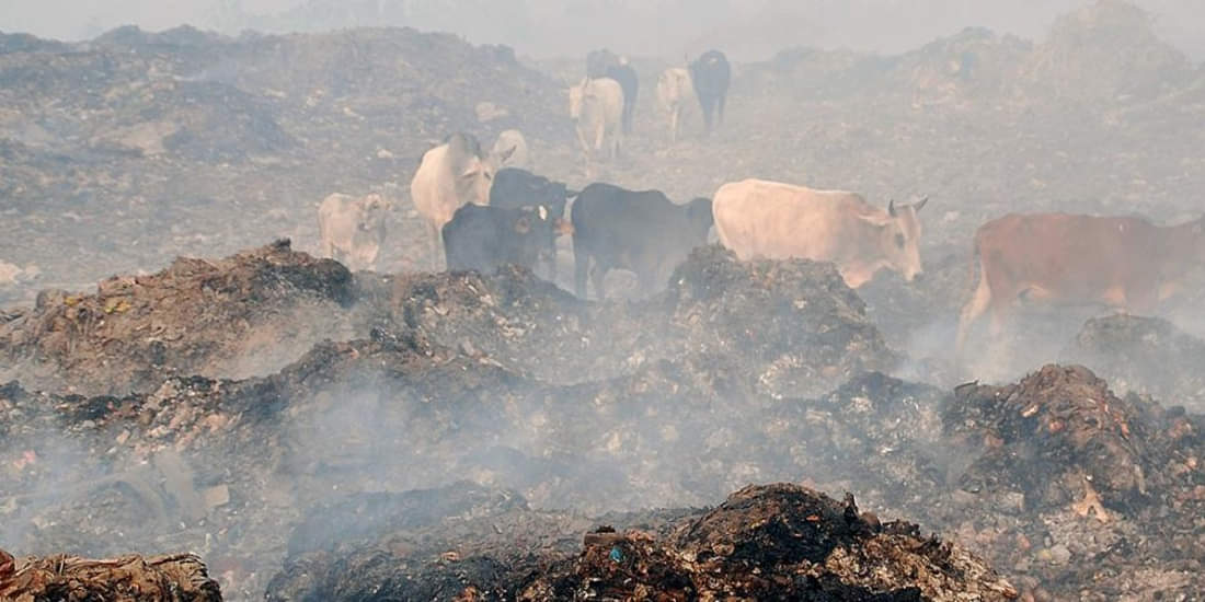 poison fog in air of kanpur at panki a to z plant