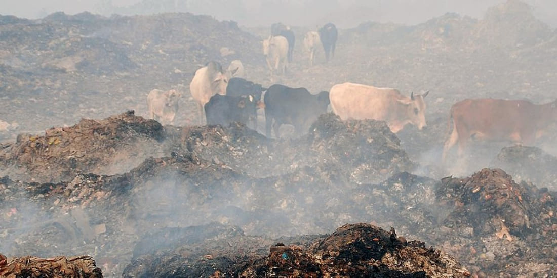 poison fog in air of kanpur at panki a to z plant