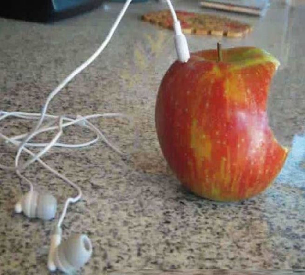 Take a look at these pictures artworks done with fruits