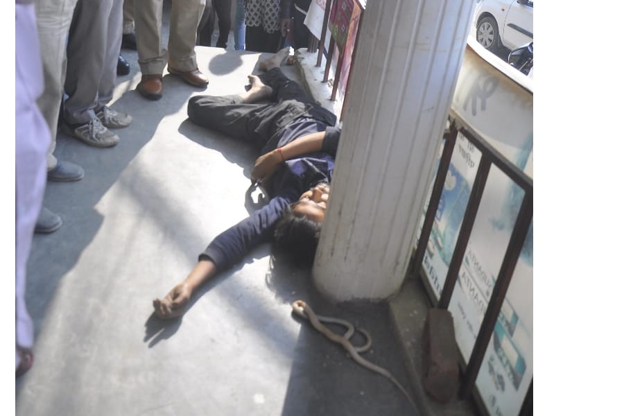 A man and snake died in indira nagar in Lucknow.