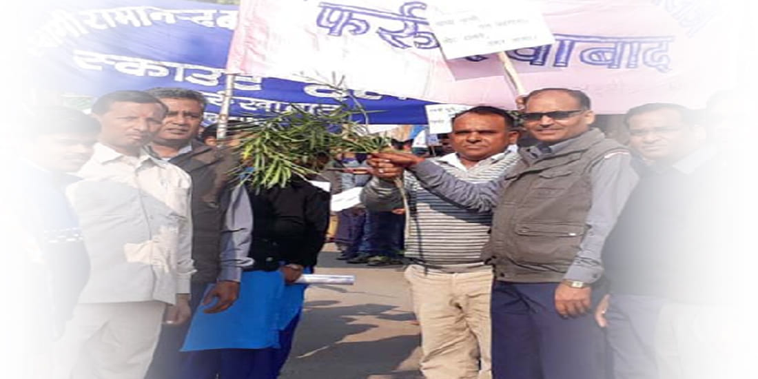 Rally turned green after showing green leaves
