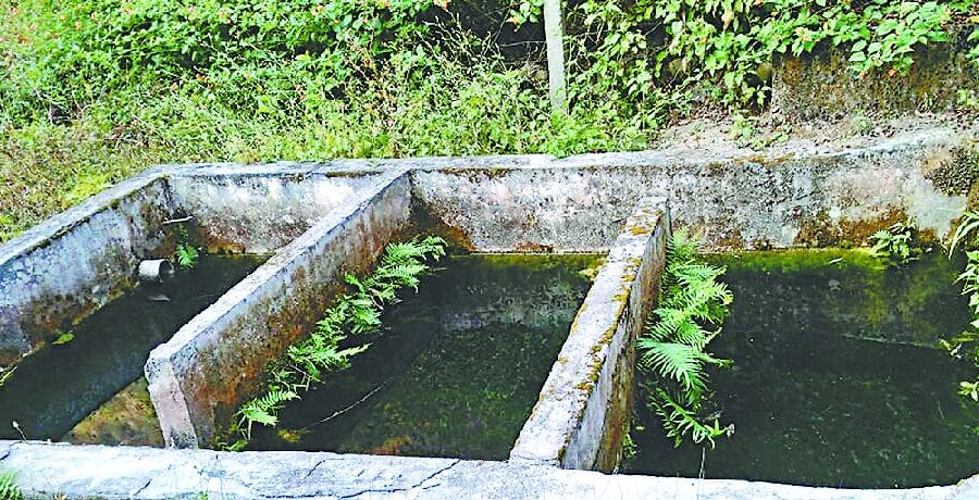 तीन फिल्टर बैड खराब, बिना फिल्ट्रेशन हो रही पेयजल आपूर्ति