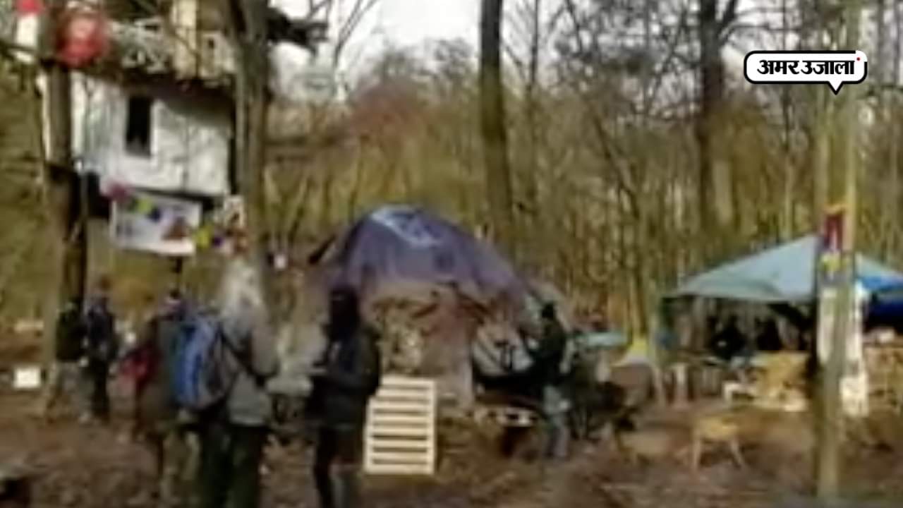 पेड़ के लिए आन्दोलन 