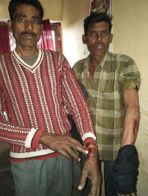 बाइक सवारों पर बाघ का हमला, दो घायल