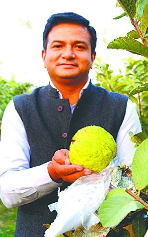 'Lucknow-Taiwan' taste of guava on the lips of politicians