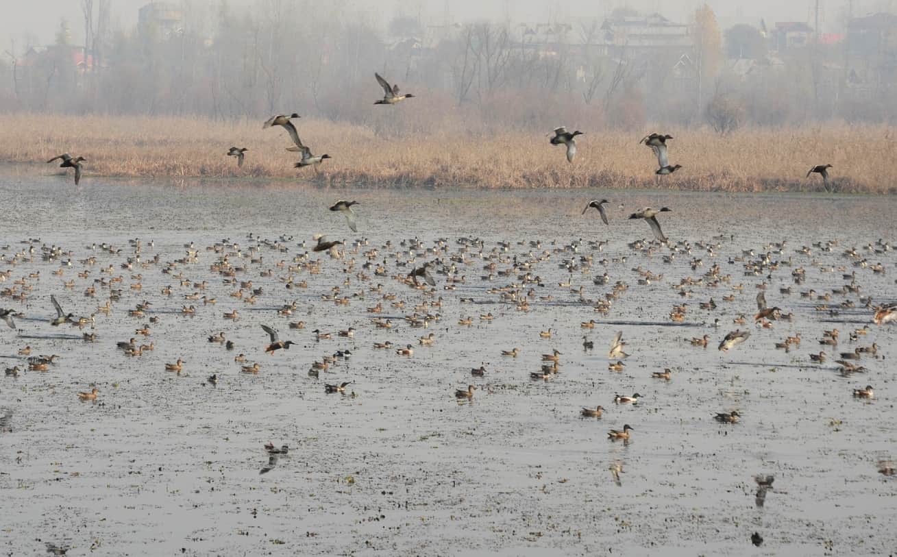 after winters begins see the pictures of dal lake and Kashmir valley 