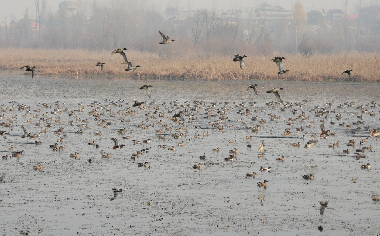 after winters begins see the pictures of dal lake and Kashmir valley 