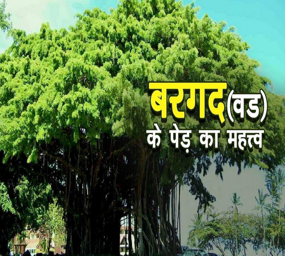 This tree will survive even after the destruction of the world