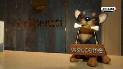 India’s first dog luxury hotel redefines pet culture